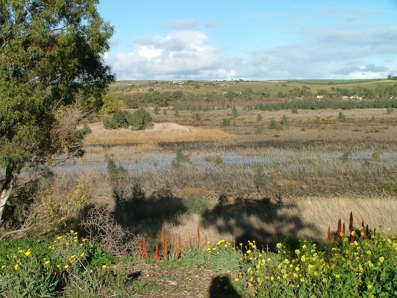 Lot 103 Purnong Road, Mannum SA 5238