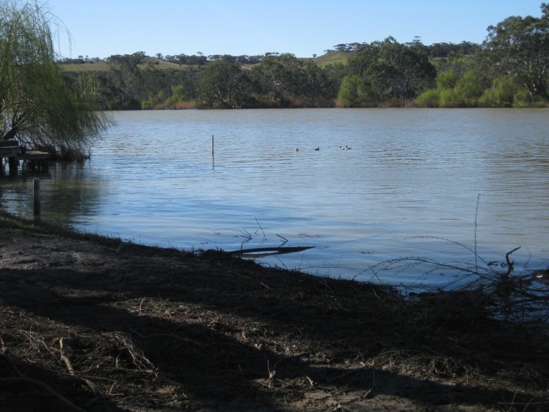 Site 27 Younghusband Holdings, Younghusband SA 5238