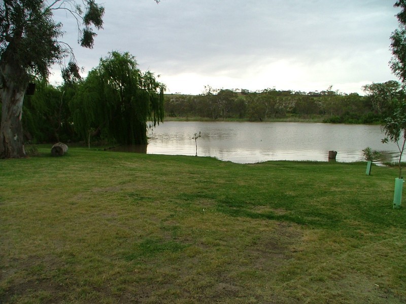 Site 1 Younghusband Holdings, Younghusband SA 5238