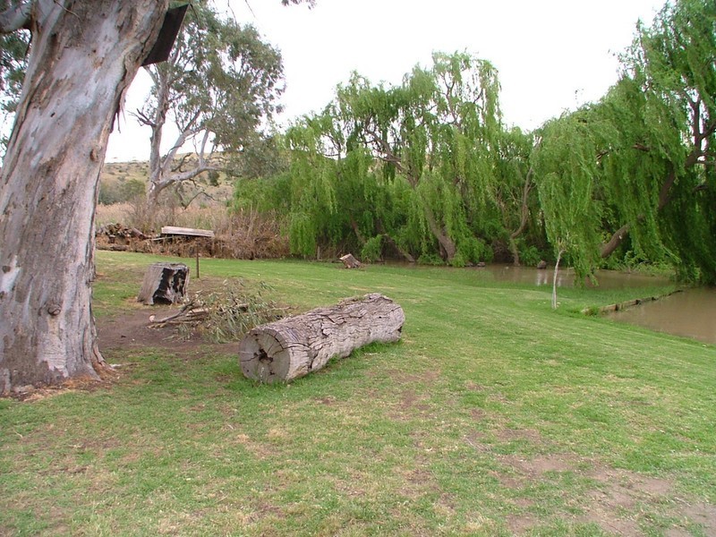 Site 1 Younghusband Holdings, Younghusband SA 5238