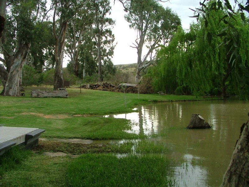 Site 1 Younghusband Holdings, Younghusband SA 5238