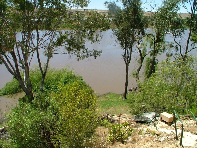 557 East Front Road, Younghusband SA 5238