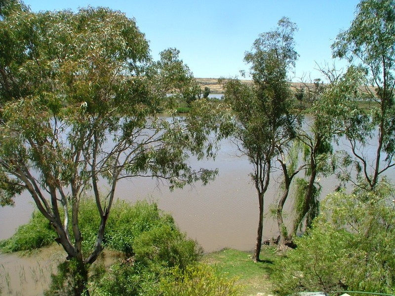 557 East Front Road, Younghusband SA 5238