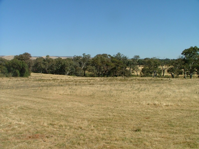 Section 326 Hd Finniss, Cambrai SA 5353