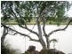 226 Cliffview Road, Walker Flat SA 5238