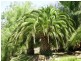 226 Cliffview Road, Walker Flat SA 5238
