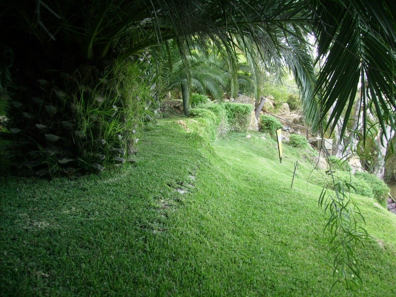 226 Cliffview Road, Walker Flat SA 5238