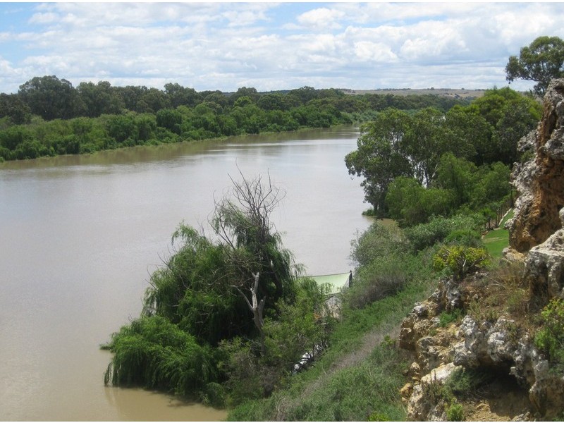 Sec 807 Caloote Road, Zadows Landing via, Mannum SA 5238