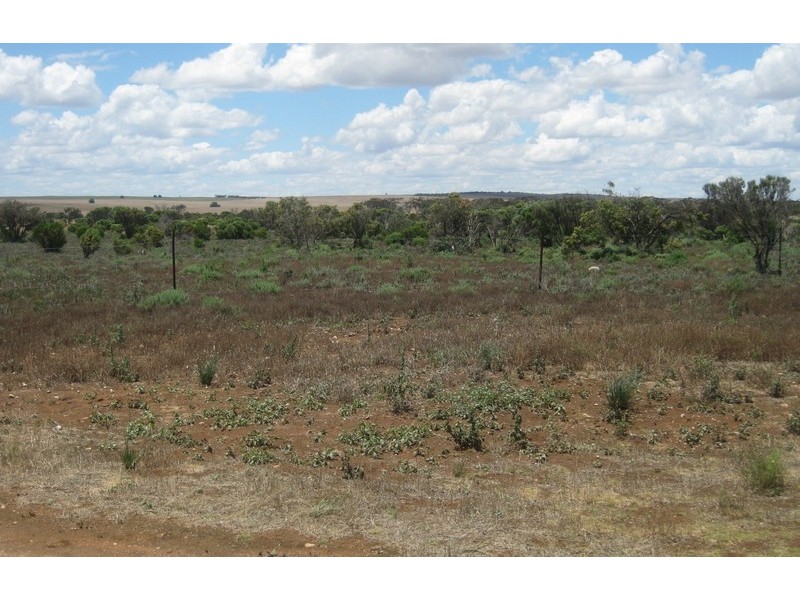 Section 9 Billabong Road (Pompoota), Mannum SA 5238