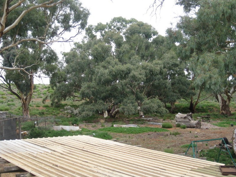 Lot 740 Mannum – Sedan Road, Angas Valley SA 5238