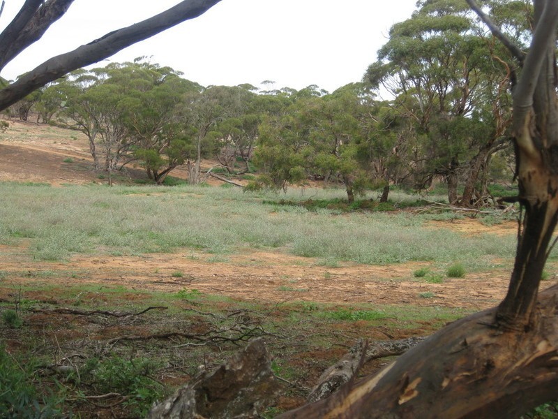 Lot 4 Mannum-Murray Bridge Rd, Mannum SA 5238