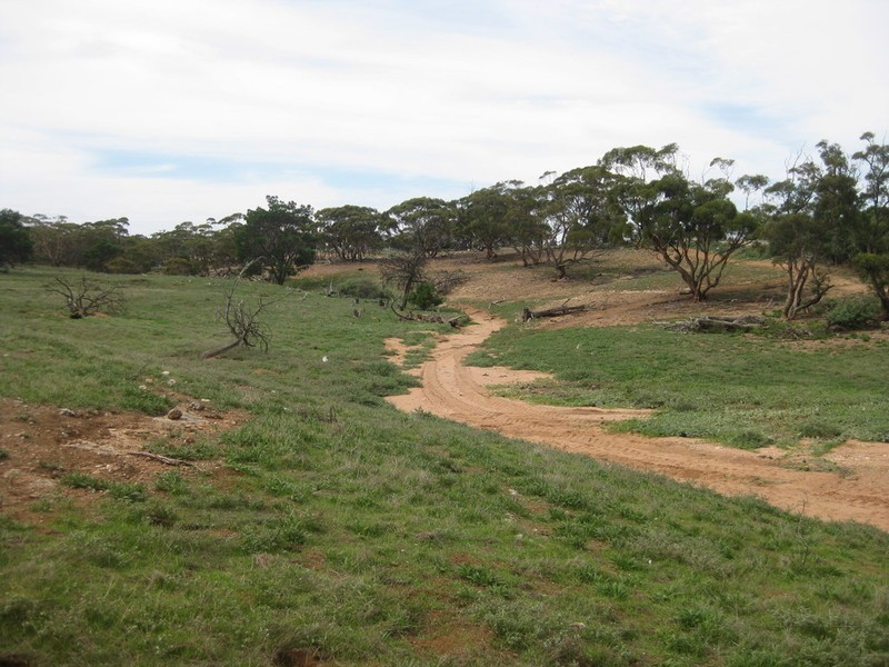 Lot 4 Mannum-Murray Bridge Rd, Mannum SA 5238