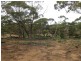 Lot 4 Mannum-Murray Bridge Rd, Mannum SA 5238