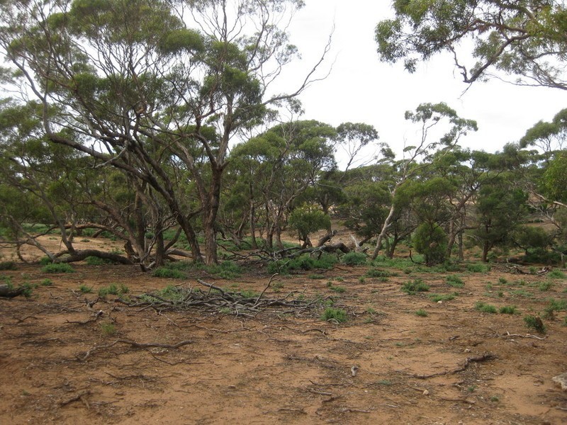 Lot 4 Mannum-Murray Bridge Rd, Mannum SA 5238