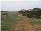 Lot 4 Mannum-Murray Bridge Rd, Mannum SA 5238