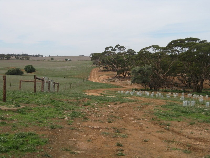 Lot 4 Mannum-Murray Bridge Rd, Mannum SA 5238