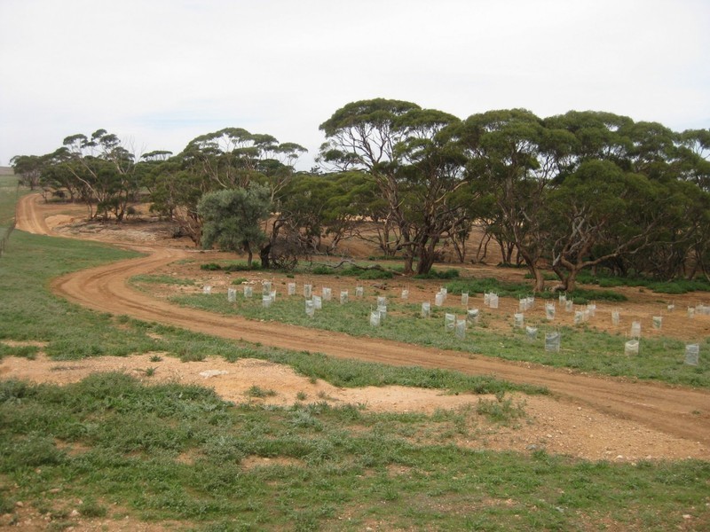 Lot 4 Mannum-Murray Bridge Rd, Mannum SA 5238