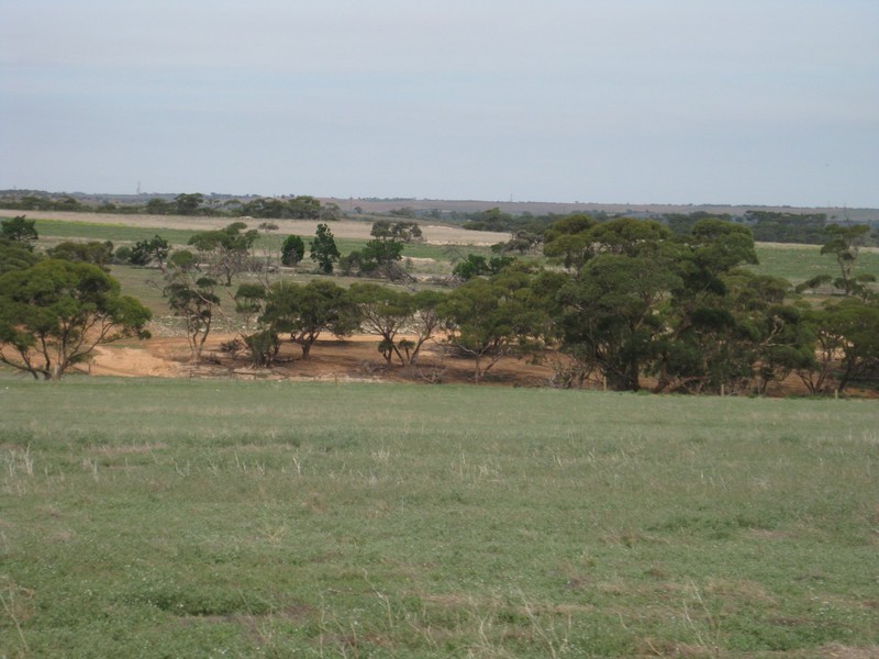 Lot 4 Mannum-Murray Bridge Rd, Mannum SA 5238