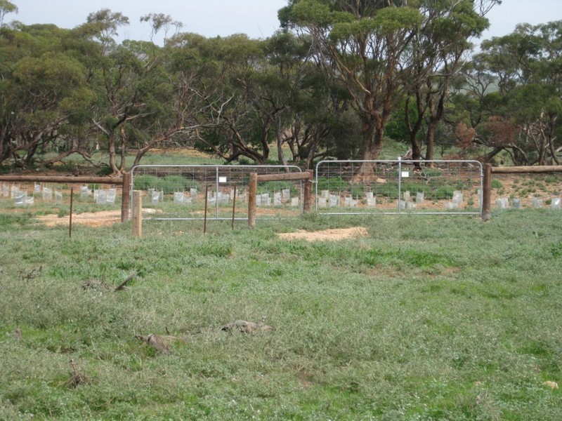 Lot 4 Mannum-Murray Bridge Rd, Mannum SA 5238