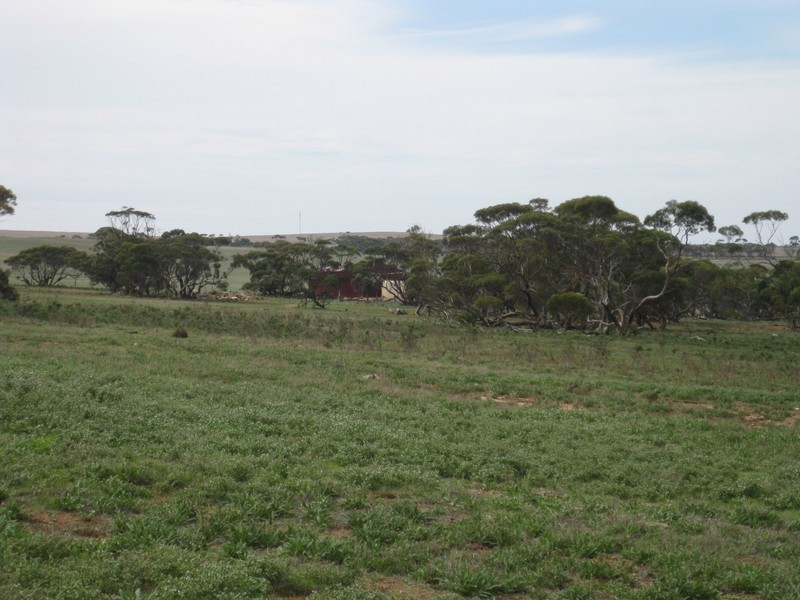 Lot 4 Mannum-Murray Bridge Rd, Mannum SA 5238