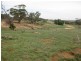 Lot 4 Mannum-Murray Bridge Rd, Mannum SA 5238