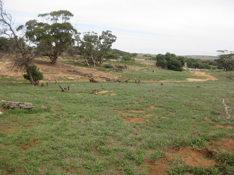 Lot 4 Mannum-Murray Bridge Rd, Mannum SA 5238
