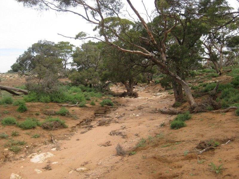 Lot 4 Mannum-Murray Bridge Rd, Mannum SA 5238