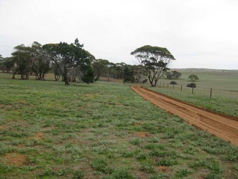 Lot 4 Mannum-Murray Bridge Rd, Mannum SA 5238