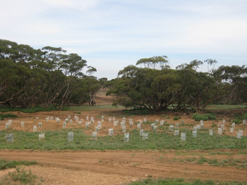 Lot 4 Mannum-Murray Bridge Rd, Mannum SA 5238