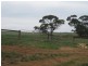 Lot 4 Mannum-Murray Bridge Rd, Mannum SA 5238