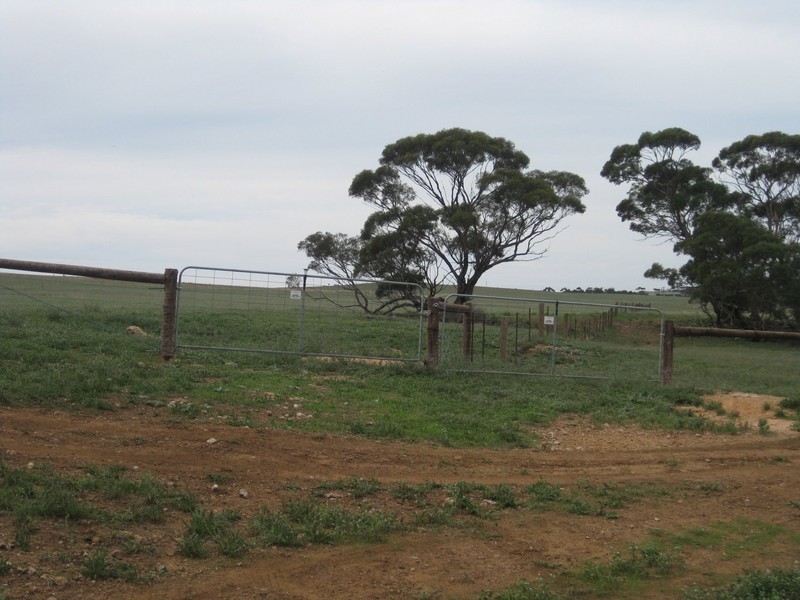 Lot 4 Mannum-Murray Bridge Rd, Mannum SA 5238