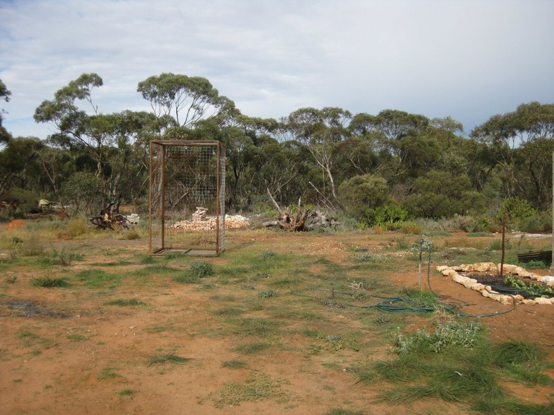 Allotment 6 North Terrace, Copeville SA 5308