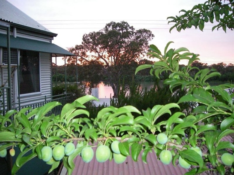 33 River Lane, Mannum SA 5238