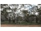 Section 94 Ballone Road, Sedan SA 5353