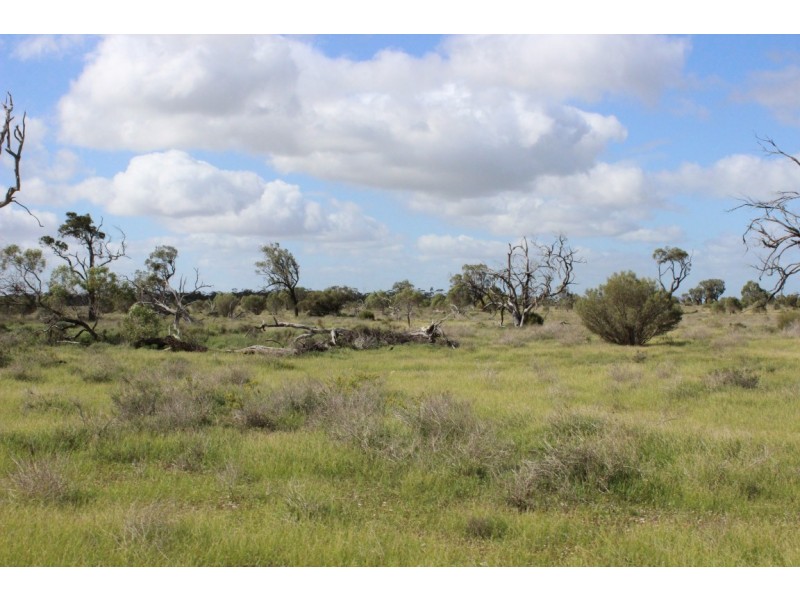Section 94 Ballone Road, Sedan SA 5353