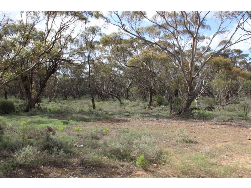 Section 94 Ballone Road, Sedan SA 5353