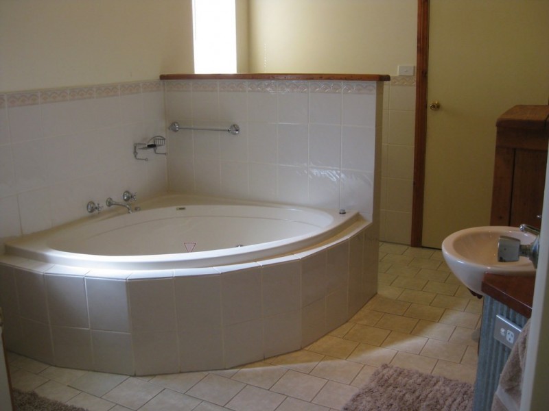 15 Hamilton Street, Mannum SA 5238