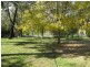 54 Rob Loxton Road, Walker Flat SA 5238
