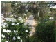 101 River Lane, Mannum SA 5238