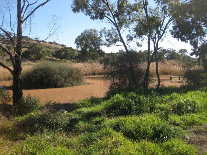 Site 22 Younghusband Holdings VIA, Mannum SA 5238