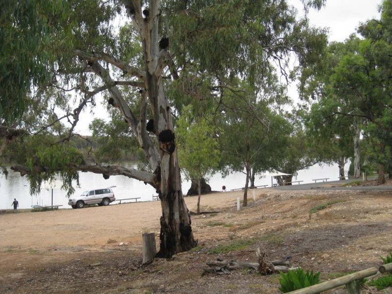 S2 Punyelroo Caravan Park, Punyelroo SA 5354