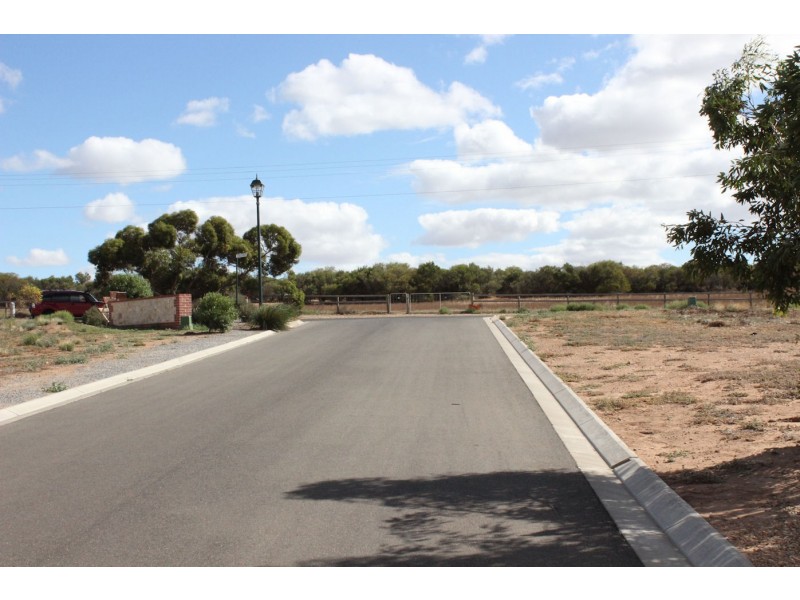 Lot 22 (no.3) Paddlesteamer Way, Paddlesteamer Estate, Mannum SA 5238