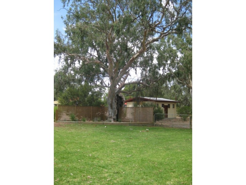 1 Sprinkler Drive, Walker Flat SA 5238