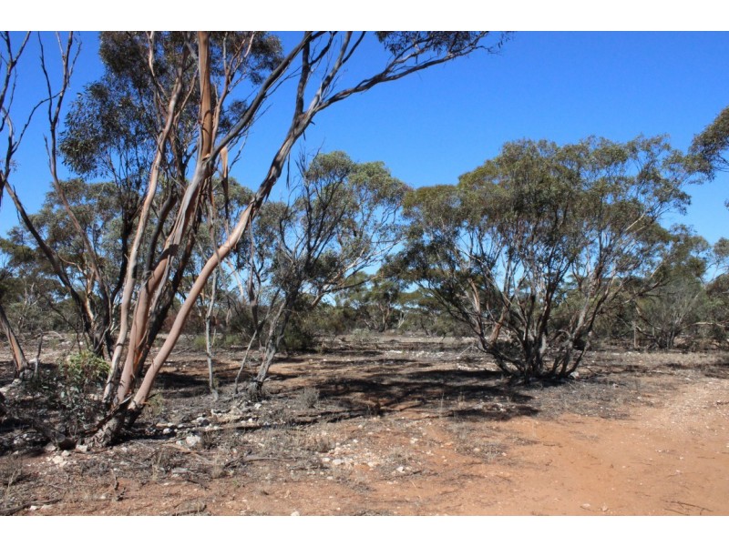 Allotment 20 Goondooloo Road, Bowhill SA 5238