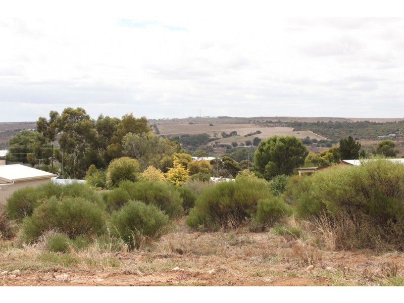 Allot 306 Wanke Road, Mannum SA 5238