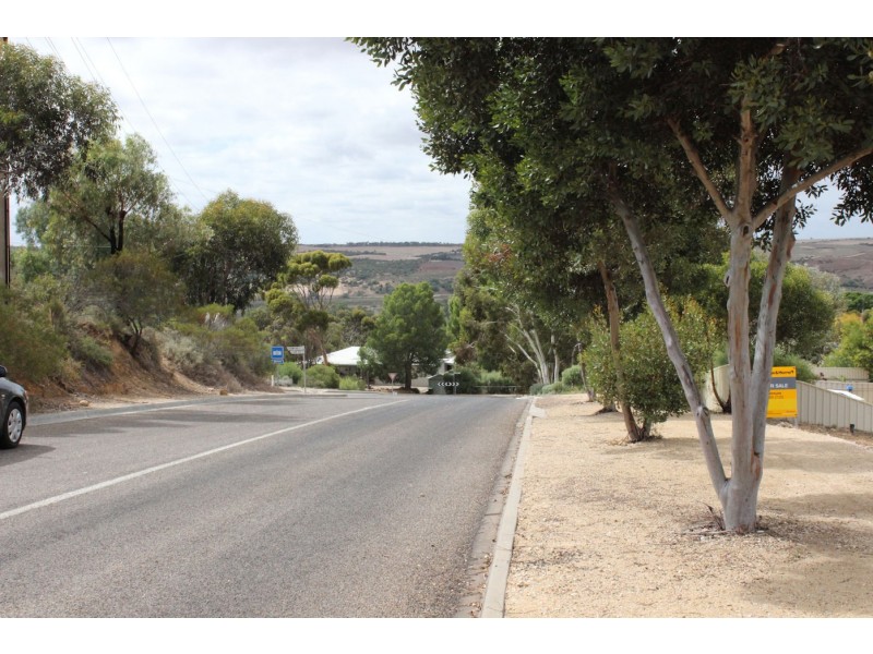 Allot 306 Wanke Road, Mannum SA 5238