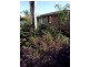 3 Walker Avenue, Mannum SA 5238