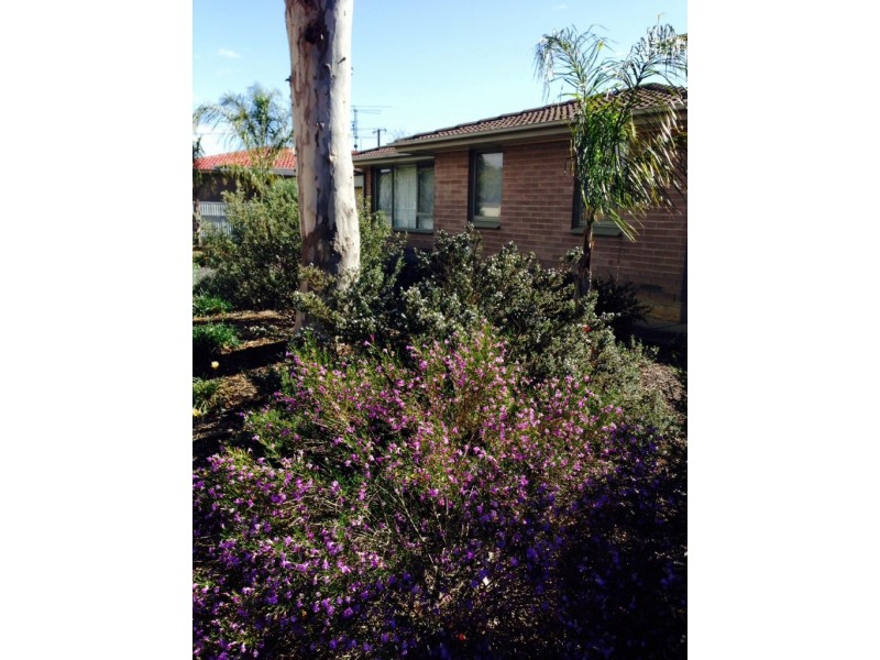 3 Walker Avenue, Mannum SA 5238