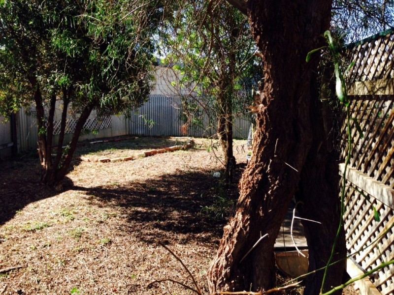 3 Walker Avenue, Mannum SA 5238