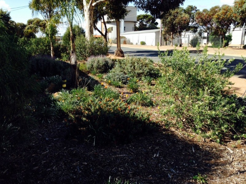 3 Walker Avenue, Mannum SA 5238